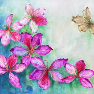 Watercolour Paintings